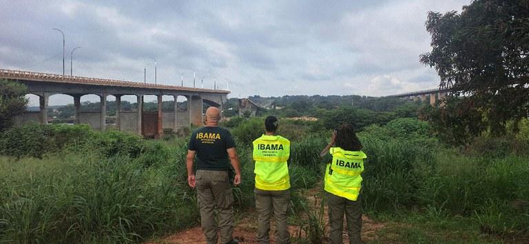 Foto: Divulgação/Ibama